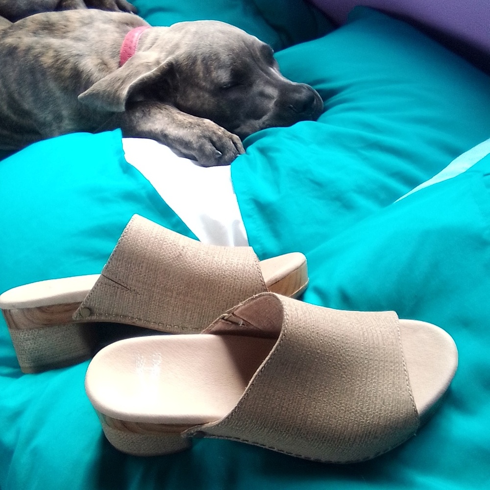 Dansko Shoes